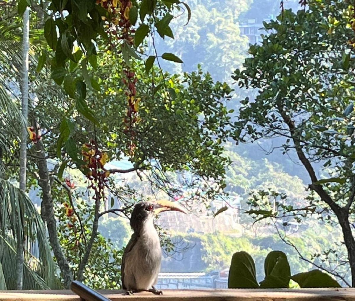 Ella Rawana Resort Exterior photo
